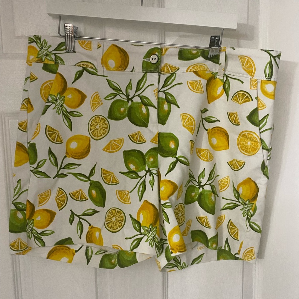 Isaac Mizrari Women’s Lemon Print Shorts size 14